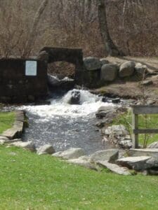 A small waterfall in the middle of a field.