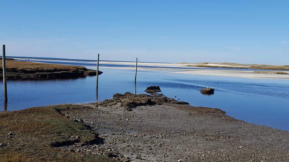 Tranquil coastal landscape with a narrow waterway, surrounding grasses, and distant sand dunes under a clear blue sky.